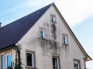 Comment se débarrasser les moisissures sur la façade ?