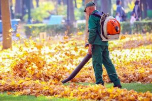 pourquoi choisir un aspirateur souffleur de feuilles ?