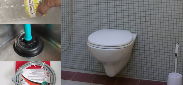 Comment déboucher une toilette sans piston 3 méthodes simples