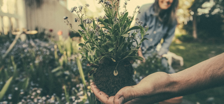 Comment se mettre au jardinage en famille