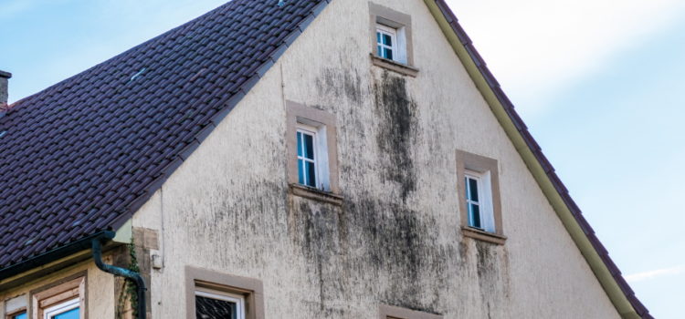 Comment se débarrasser les moisissures sur la façade ?