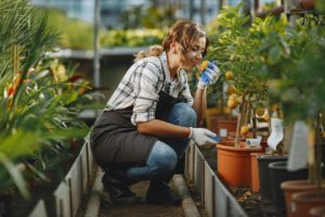 travaux de jardinage