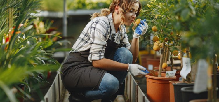 travaux de jardinage