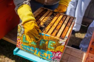 Fabriquer une ruche DIY pour votre jardin