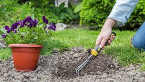 10 conseils pour effectuer un bon jardinage