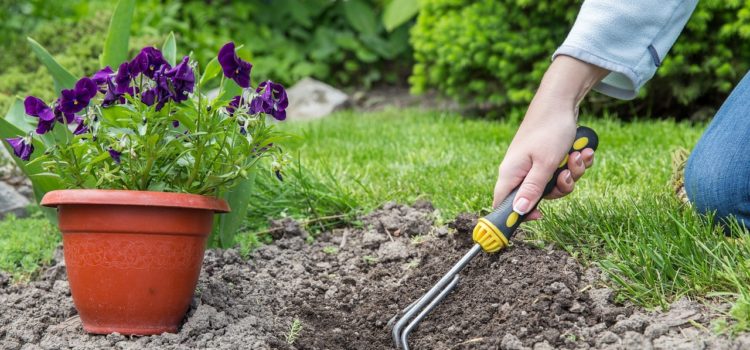 10 conseils pour effectuer un bon jardinage