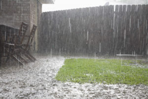 jardin inondé par la pluie