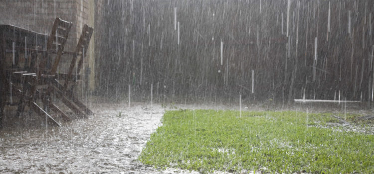 jardin inondé par la pluie