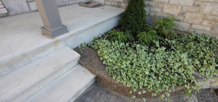 Comment embellir votre maison avec du béton décoratif ?