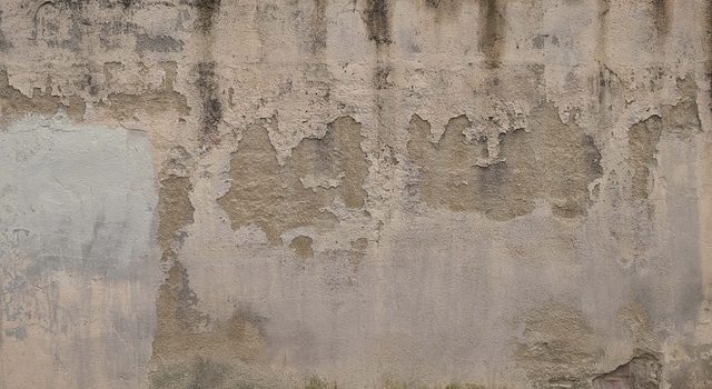 Comment l'intervention d'un professionnel peut-elle économiser de l'énergie en traitant l'humidité ?