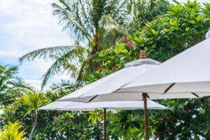 Toile_pergola